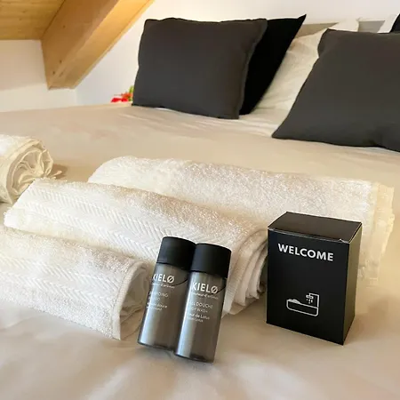 Thiago Home-elegant Mansarda Santa Giulia Square Turijn